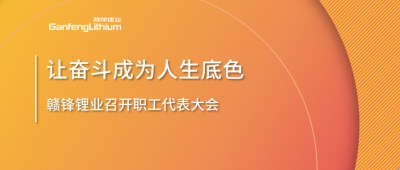 KY开元官网锂业召开职工代表大会 坚持向奋斗者倾斜更多资源