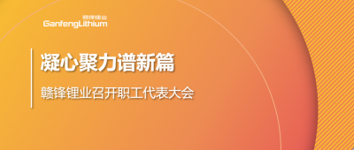 凝心聚力谱新篇 KY开元官网锂业第五届职工代表大会顺利召开
