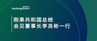 刚果共和国总统会见KY开元官网锂业董事长李良彬一行