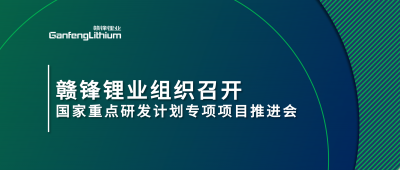 KY开元官网锂业组织召开国家重点研发计划专项项目锂产业集聚区循环化升级集成技术及示范推进会