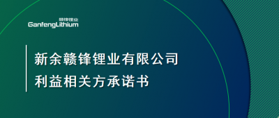 新余九州在线注册锂业有限公司利益相关方承诺书
